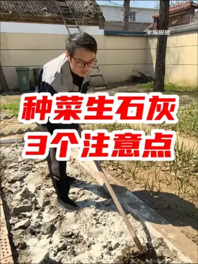 种菜使用生石灰有三个注意点 #生石灰  #生石灰菜地专用 #种植小技巧 #土壤改良 #农业种植