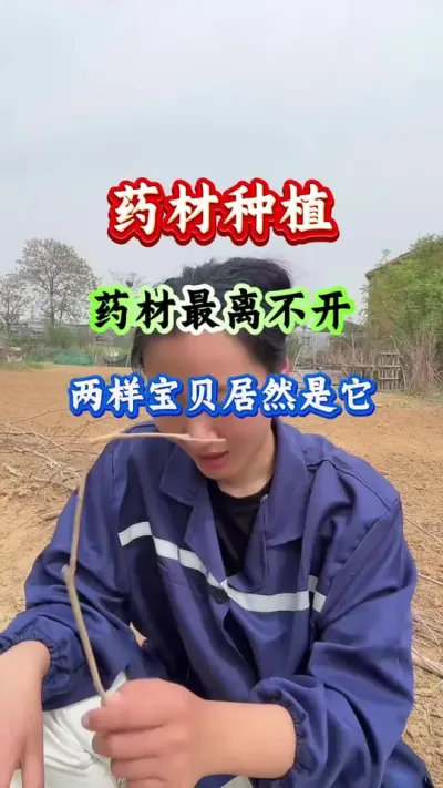 药材种植 药材最离不开两样宝贝居然是它 #药材高产 #药材管理 #药材种植