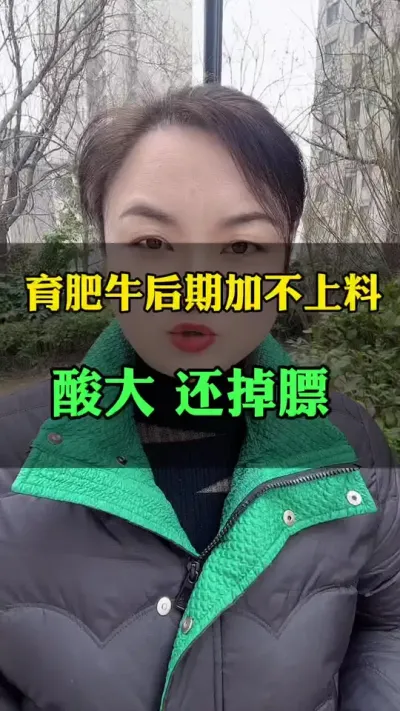 育肥牛后期加不上料，酸大还掉膘#肉牛养殖 #全国养牛人 #养殖户 #科学养殖 #科学喂养