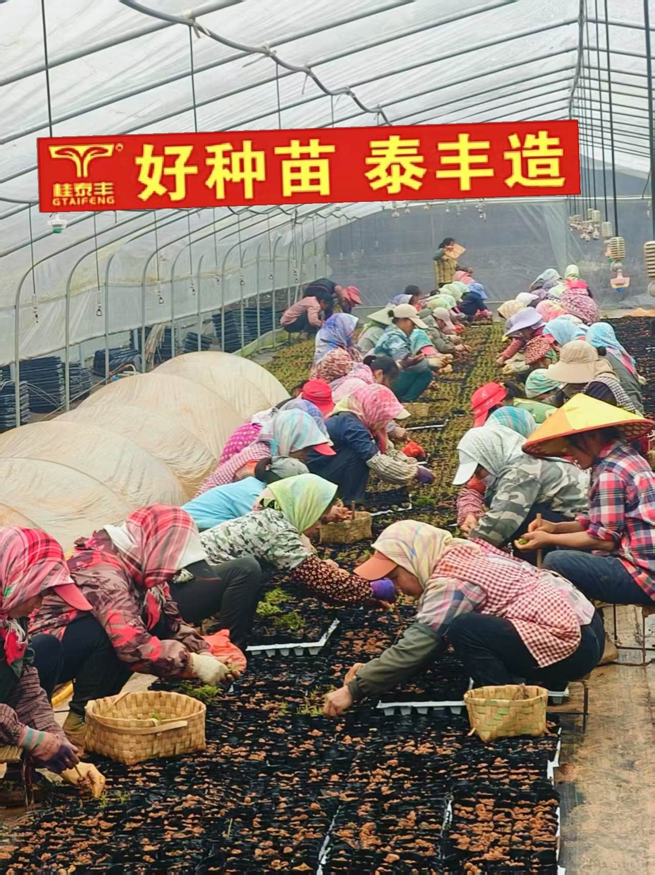 http://static.ixuenong.com/pxn/uploads/prod/thirdfile/2025/05/b95f1609b4dab15be1855060761d7e8c.jpg