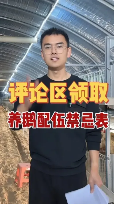 养鹅用💊搭配错，看似有效却适得其反！我花一月时间整理了养鹅避坑干货表，今晚7点直播间免费公布 ，点赞关注评论区留言，还送五十份！先到先得！#养鹅技术找晓雨 #养鹅技术分享 #养鹅