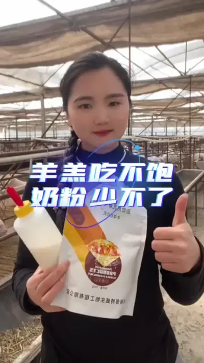 羊羔吃不饱，奶粉不能少#羔羊奶粉 #羔羊 #养羊技术 #养羊技术