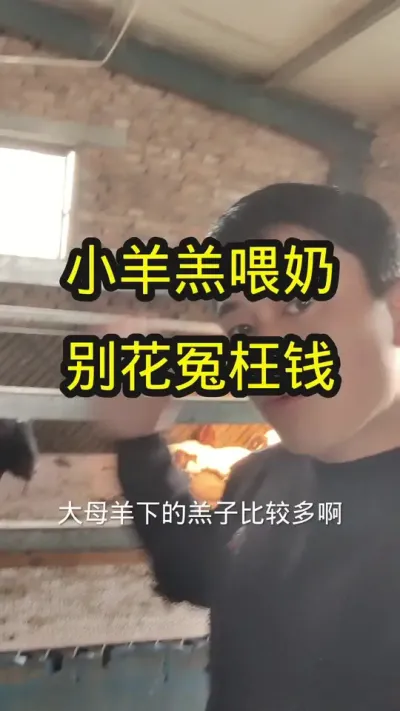 #羔羊奶粉 #羔羊专用羊奶粉 #羊奶粉推荐 #养羊 #怎么挑选羊奶粉