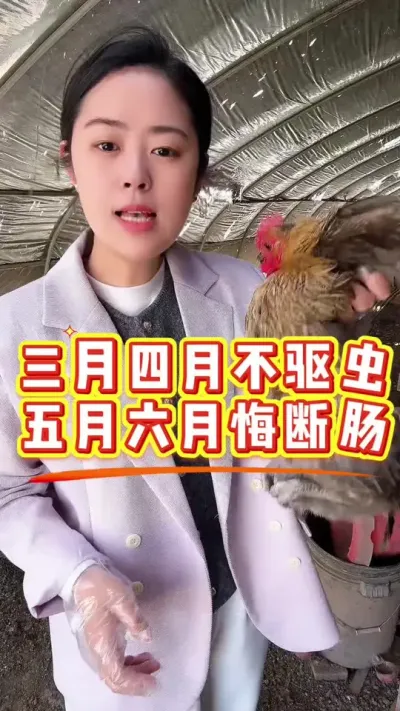 三月四月不驱虫，五月六月毛掉光 #鸡鸭鹅养殖 #科学养鸡 #养殖小妙招 #鸡病防治 #服务三农支持三农