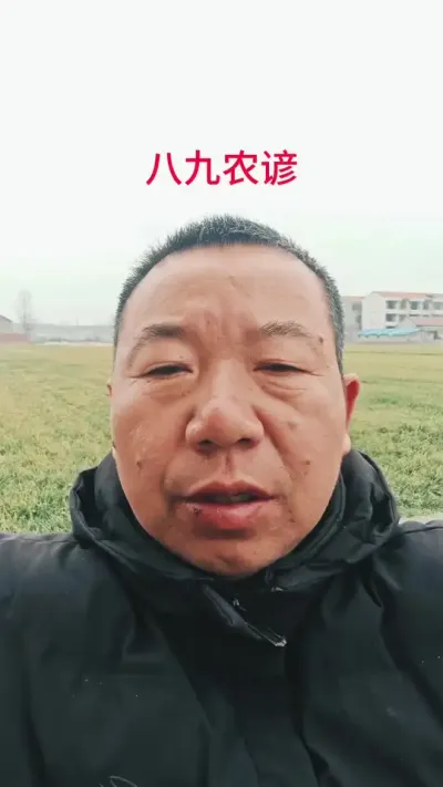 明天就进入八九了，老祖宗留下的谚语，大家看看准不准？#农业谚语 #民间谚语节气 #民间俗语老人言 #三农