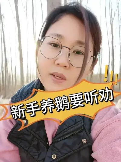 新手养鹅要听劝，无效踩坑永不沾#养鹅技术分享 #科学养鹅 #养鹅技术 #养鹅 #鹅