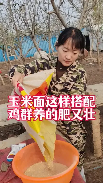 #养鸡#散养土鸡#鸡鸭鹅养殖#科学养鸡#养鸡妙招