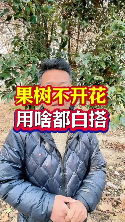 #催花保果 #保花保果 #促花保果 #分享农业知识帮农民增产增收 #抖音助农