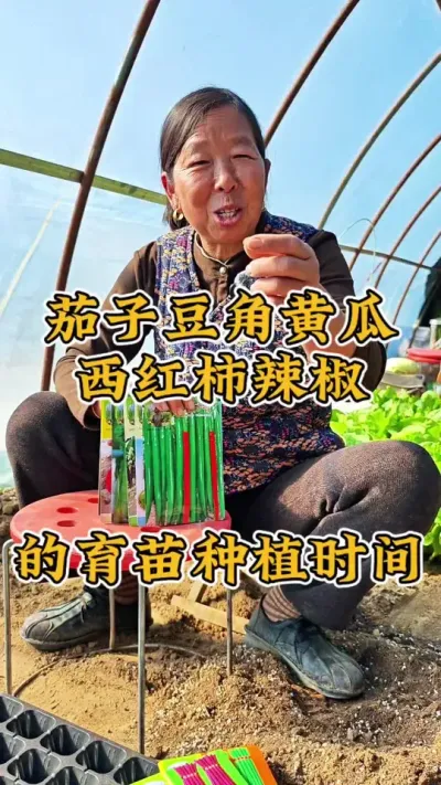 蔬菜的种植时间 西红柿辣椒茄子豆角黄瓜的种植时间#蔬菜种植 #豆角种植 #辣椒种植 #腊八节 #生菜杨姐 @DOU+小助手 @DOU+上热门