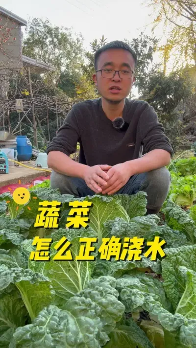 蔬菜怎么正确浇水？疏菜怎么浇水？#关注我一起学种菜 #我的小菜园 #种菜 #种植小技巧 #我爱种菜