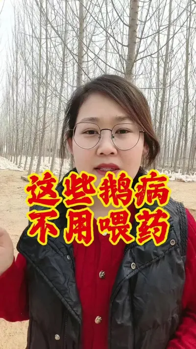 这些鹅病不用喂药就能好#养鹅技术分享 #养鹅技术 #养鹅 #养鹅人 #鹅