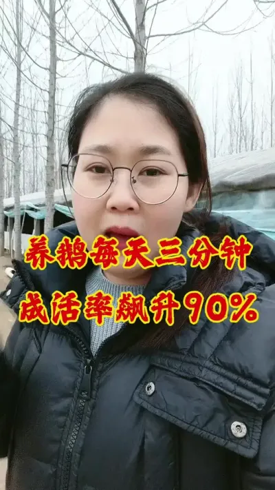 每天三分钟，养鹅成活率飙升90%#养鹅技术分享 #养鹅 #科学养鹅 #养鹅人 #鹅
