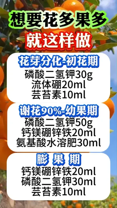 果树想要花多果多，那就这样做#果树管理 #柑橘种植 #果树种植 #果园管理