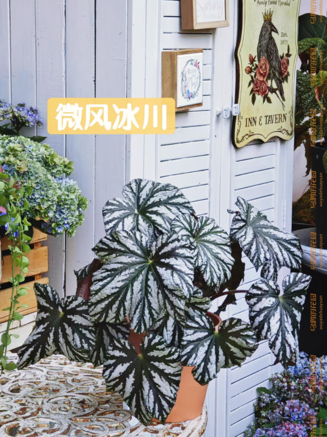 http://static.ixuenong.com/pxn/uploads/prod/thirdfile/2025/05/bbf26d9b645d69b4d536a9c2965ffb13.jpg
