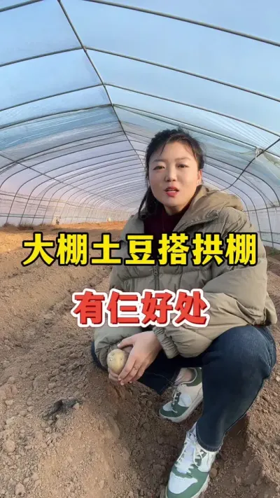 大棚土豆用三膜的几个好处#土豆高产种植 #土豆 @抖音小助手