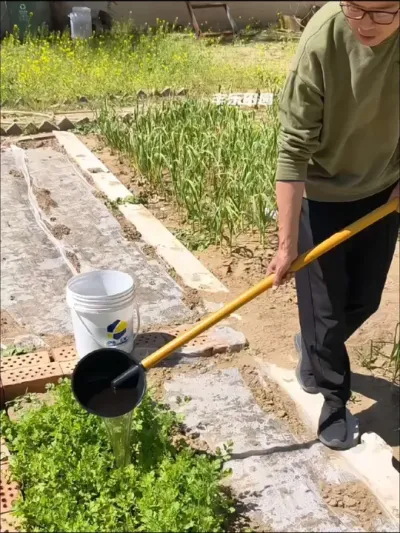 种菜专用有机肥#蔬菜专用肥 #有机肥 #蔬菜种植 #在家种菜 #种植小技巧