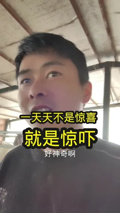 这是要发财的节奏吗#养羊 #农村养羊 #养羊人 #养羊人的快乐生活