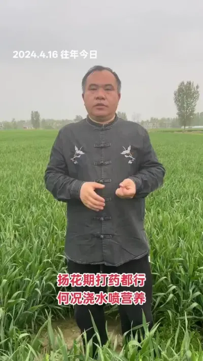 先解决旱情，再防病防虫，顺便补充营养！