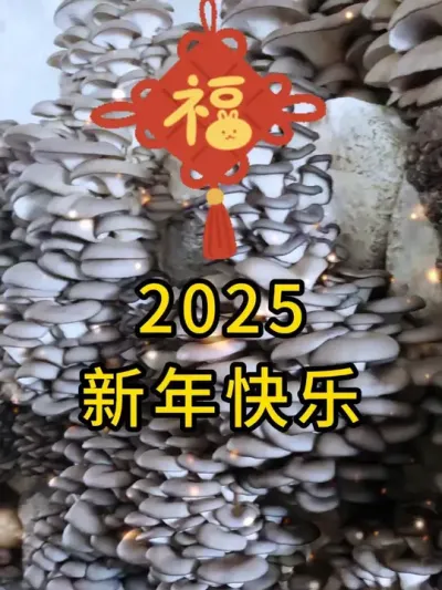 2025新年快乐，这一年我们接种打孔器继续与我们作伴，平菇种植六希一直与您作伴！#平菇种植 #打孔器 #菌种打孔器