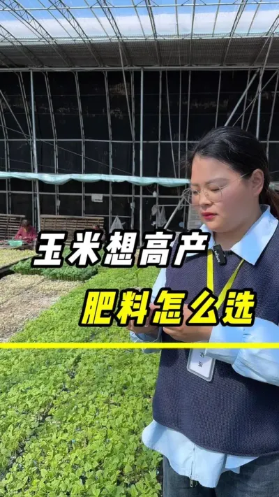 玉米想高产，肥料这么选#玉米#玉米高产#肥料#玉米种植 #三农