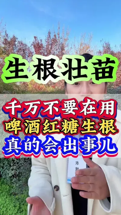 千万不要再用啤酒红糖生根真的会出事#生根壮苗 #抖音助农 #种植小技巧 #农业种植 #三农