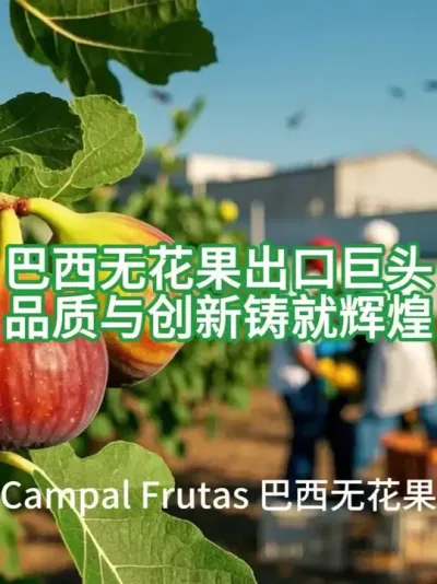 (72) 巴西无花果出口巨头，品质与创新铸就辉煌@云食界展贸服务平台