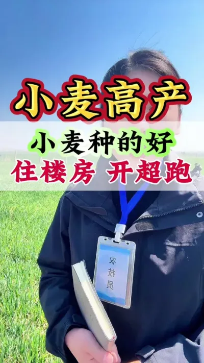 小麦种的好，住楼房开超跑 #小麦 #小麦种植 #小麦高产 #小麦管理#病虫害防治
