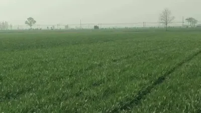 小麦的超高产春季管理技术#农业种植技术 #果树管理技术 #栽培技术管理 #小麦增产增收 #小麦增产增收叶面肥 #小麦高产技术 #高产小麦管理技术 #小麦种植管理技术