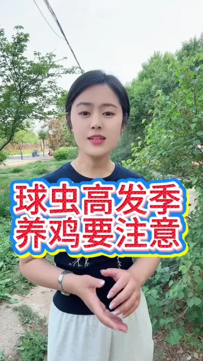 球虫高发季养鸡要注意#养鸡#科学养鸡#散养土鸡#养鸡妙招#鸡鸭鹅养殖