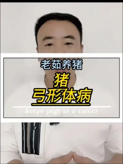 猪弓形体病都有什么症状，弓形体从哪里来的？#养猪技术 #养猪人 #养猪知识分享 #猪病 #创作灵感