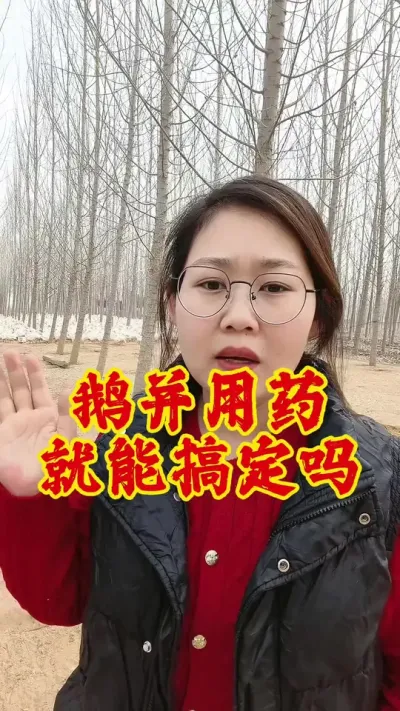 不是所有的鹅病都可以用药解决的#养鹅技术分享 #养鹅 #养鹅人 #鹅 #科学养鹅