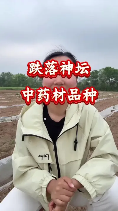 药材种植 跌落神坛中药材品种 #药材种植 #药材管理 #药材高产
