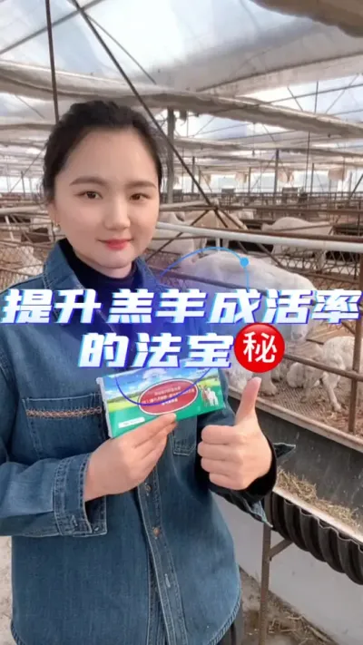 提高羊羔成活率就用羔羊保护液#羊羔成活率 #养羊技术分享 #养羊知识 #农村养羊