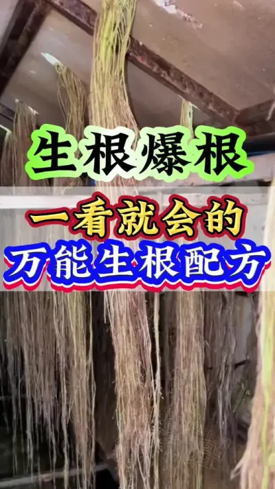 一看就会的万能生根配方#生根壮苗 #种植小技巧 #三农 #农业种植 #抖音助农