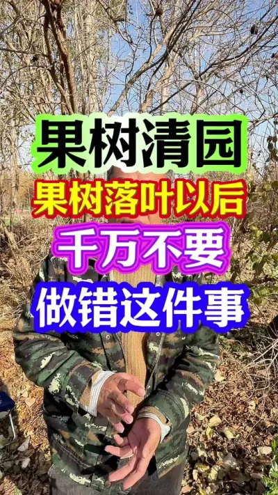 #果树清园 #清园 #病虫害防治 #分享农业知识帮农民增产增收 #抖音助农