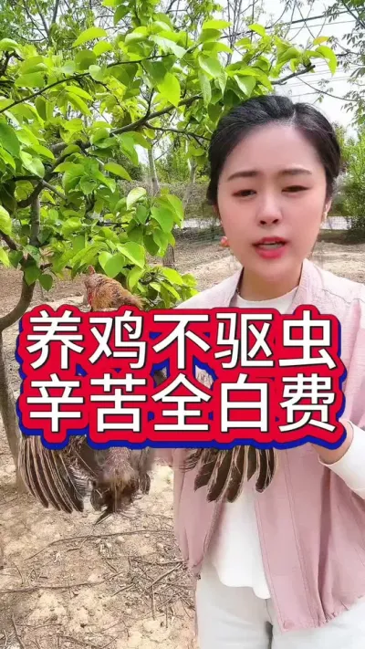 养鸡不驱虫辛苦全白费#养鸡#科学养鸡#散养土鸡#鸡驱虫#养鸡妙招