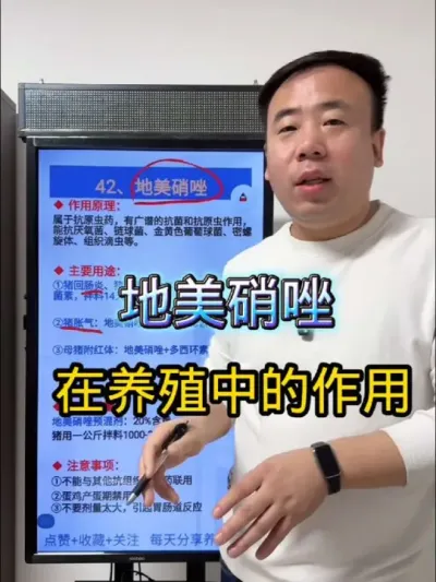 地美硝唑在养殖中的作用都有哪些？快来学习啦#养猪技术 #养猪人 #养猪知识分享 #创作灵感