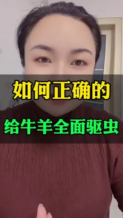 如何给牛羊全面驱虫#科学喂养 #肉牛养殖 #全国养牛人 #西门塔尔 #养殖户