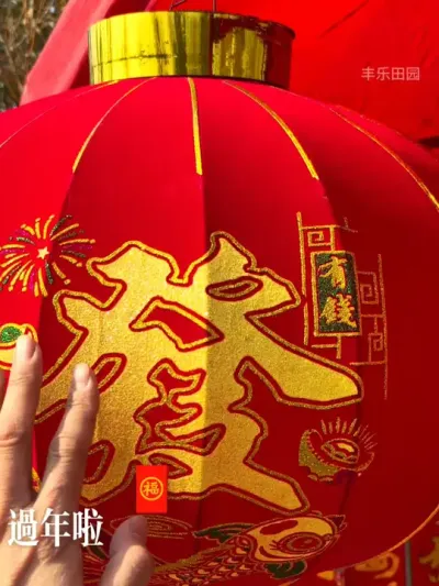 过年啦，过年啦！ #乡愁记忆 #农村生活 #年味 #过大年 #新年快乐 @DOU+上热门