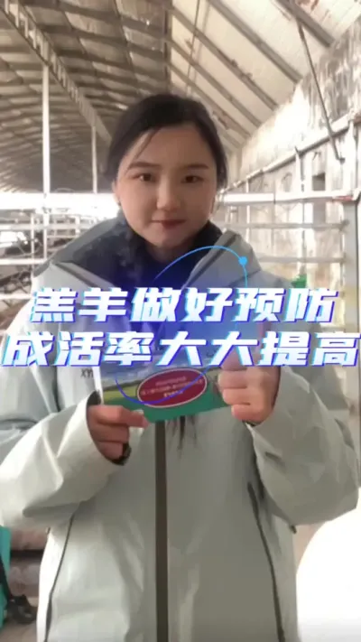 羔羊保护液#养羊人 #养羊技术分享 #每天分享牛羊养殖小知识 #养羊知识