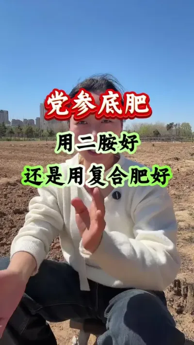 党参种植 党参底肥用二胺好还是用复合肥好 #党参种植 #党参管理 #党参高产