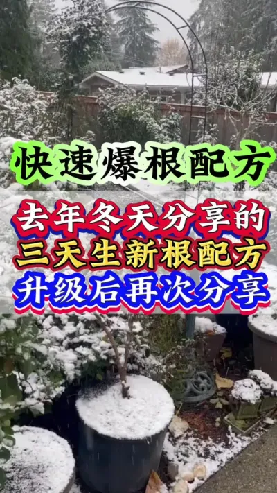 去年冬天分享的三天生新根配方升级后再次分享#生根壮苗 #抖音助农 #种植小技巧 #三农 #农业种植
