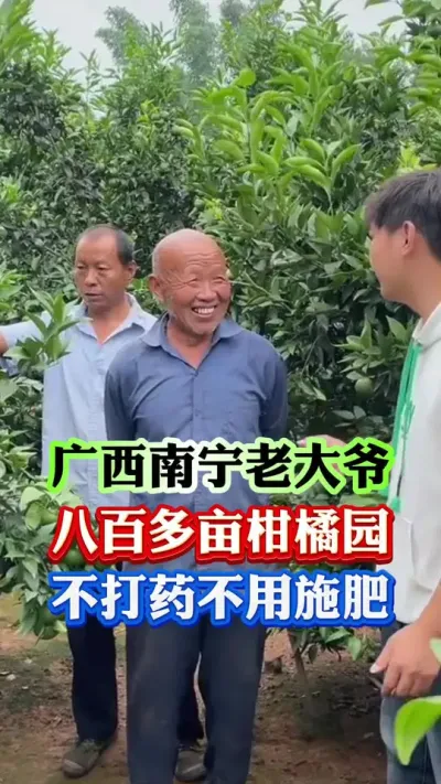 什么种植基地从不打药，照样没有病害，产量还高#果树种植 #果树管理 #果园管理 #病虫害防治
