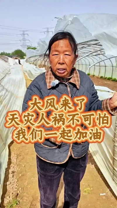 菜农不易，大家别灰心，一起加油#三农 #12级大风 #蔬菜种植 #菜农 @DOU+小助手 @DOU+上热门