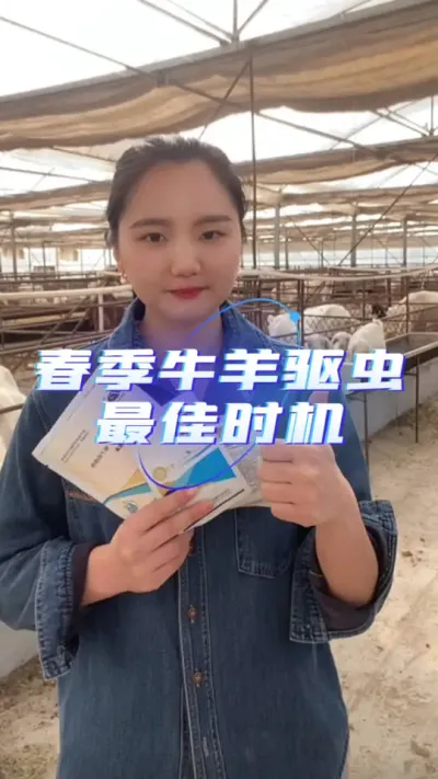 牛羊驱虫正当时#牛羊驱虫 #驱虫药 #羊驱虫