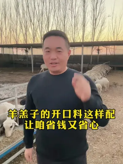 羊羔子的开口料这样配 让咱省心又省钱 #每天分享养殖小知识  #养殖技术分享  #牛羊养殖