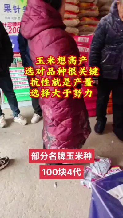 部分名牌玉米高产品种100块4代#抖音助农 #服务三农 #农业 #农业种植技术 #高产玉米种子