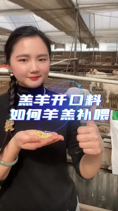 羊羔开口料#羊羔开口料 #羊羔饲料 #羊羔料 #养羊人