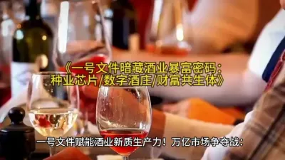 《一号文件暗藏酒业暴富密码：种业芯片/数字酒庄/财富共生体》  
   @云食界