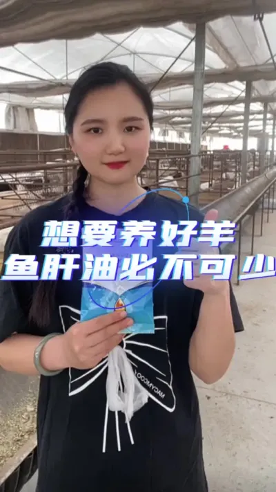 养羊要用鱼肝油#鱼肝油 #养羊人 #养羊技术 #每天分享牛羊养殖小知识 #养羊创业
